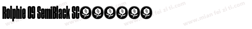 Rolphie 09 SemiBlack SC字体转换